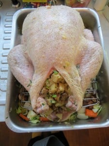 Bird stuffed, racked, seasoned, ready to shed its love on its veggies below...